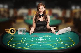 81 com bet